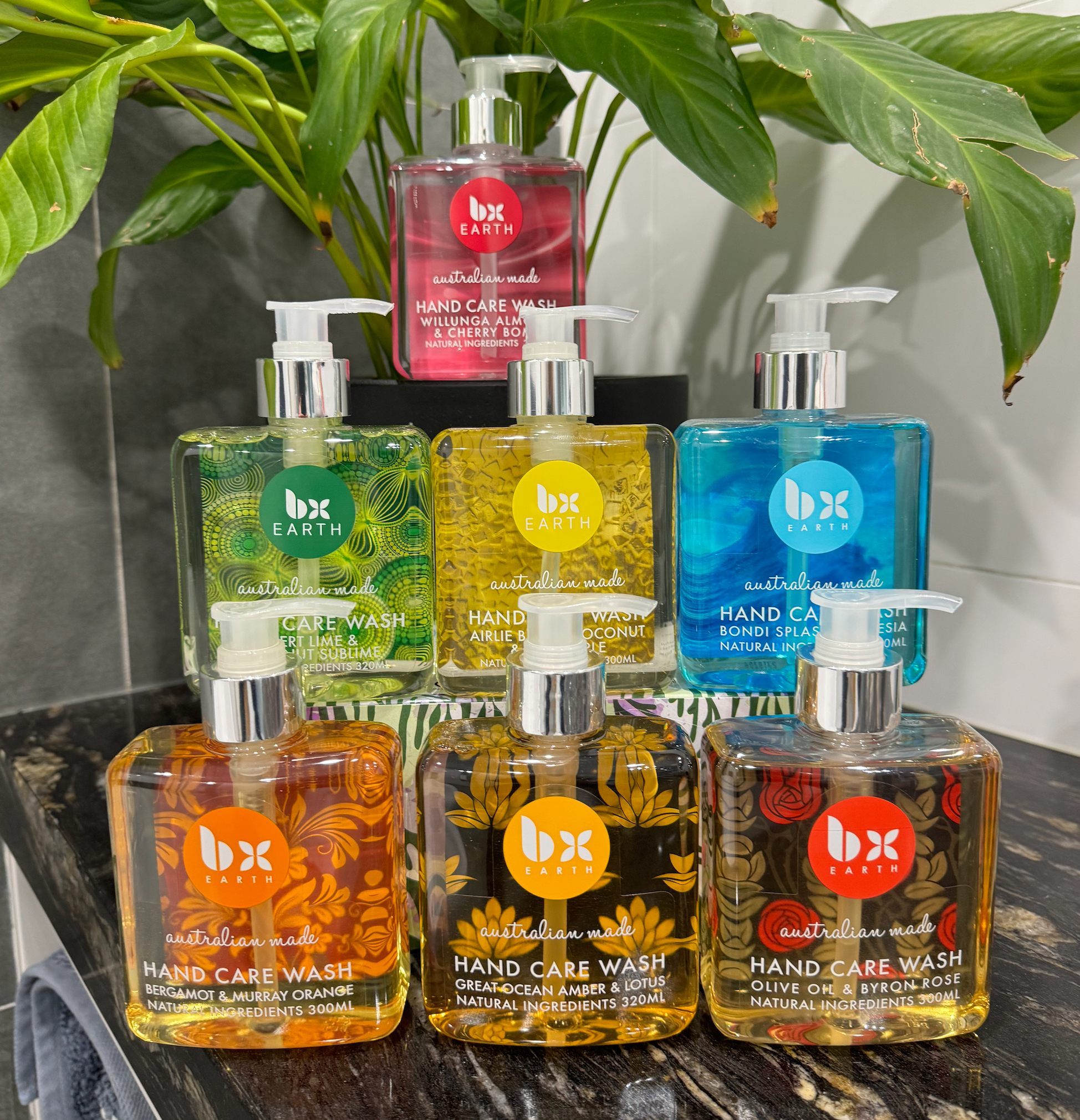 Any 6x BX Earth Handwashes