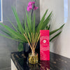 Noosa Passion and Berry Reed Diffuser